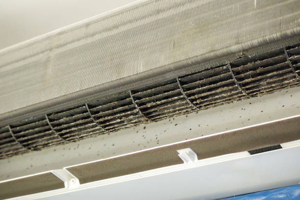 Best Affordable HVAC Duct Cleaning  in Ten Mile Creek, MD