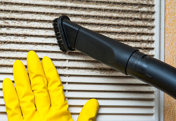Best Dryer Vent Cleaning Services  in Ten Mile Creek, MD
